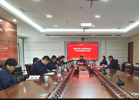 半导体资料板块召开党委带领班子2024年度民主糊口会